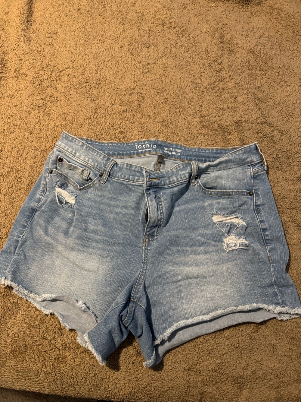 torrid light wash distressed denim cutoffs